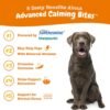 Zesty Paws Calming Chews for Dogs - for Everyday Stress, Relaxation, Composure, and Separation, 90 Count, Turkey - Melatonin - Image 2