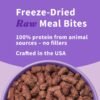 Halo Freeze Dried Raw Dog Food, Beef Recipe, 100% Protein Source, Real Meat for Natural Energy, Meal Bites, 14 Oz Bag