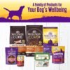 Wellness Complete Health Thick & Chunky Natural Grain Free Canned Wet Dog Food, Beef Stew, 12.5-Ounce Can (Pack of 12) - Image 5