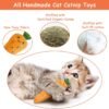 Catnip Cat Toys, Interactive Cat Chew Toys for Indoor Kittens Kitty, 5 Pack - Image 2