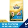 Nature′s Recipe Grain Free Puppy Chicken, Sweet Potato & Pumpkin Recipe Dry Dog Food, 12 lb. Bag - Image 2