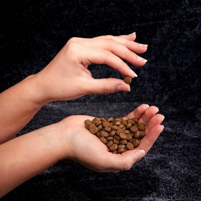 CRAVE Grain Free High Protein Adult Dry Dog Food with Lamb, 4 lb. Bag