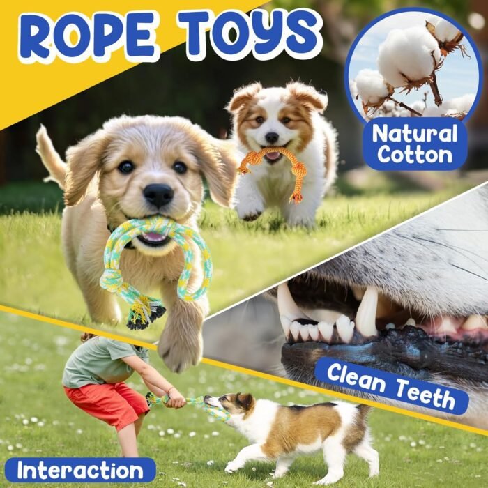 Puppy Toys for Teething, 9 Pack Interactive Dog Toys for Small Dogs, Puppy Chew Toys for Boredom with Rope Toys, Treat Ball and Cute Squeaky Toys