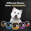 CESAR Puppy Wet Dog Food Classic Loaf in Sauce Chicken & Beef Recipe, (24) 3.5 oz. Easy Peel Trays - Image 10