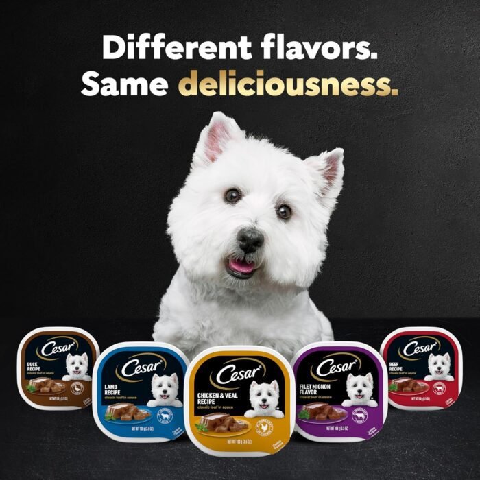 CESAR Puppy Wet Dog Food Classic Loaf in Sauce Chicken & Beef Recipe, (24) 3.5 oz. Easy Peel Trays