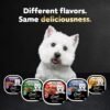 CESAR Adult Wet Dog Food Loaf & Topper in Sauce Rotisserie Chicken Flavor with Bacon & Cheese, 3.5 oz. Easy Peel Trays, Pack of 24 - Image 11