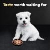 CESAR Puppy Wet Dog Food Classic Loaf in Sauce Chicken & Beef Recipe, (24) 3.5 oz. Easy Peel Trays - Image 8