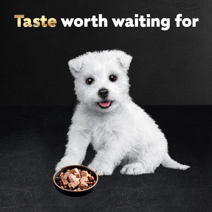 CESAR Puppy Wet Dog Food Classic Loaf in Sauce Chicken & Beef Recipe, (24) 3.5 oz. Easy Peel Trays