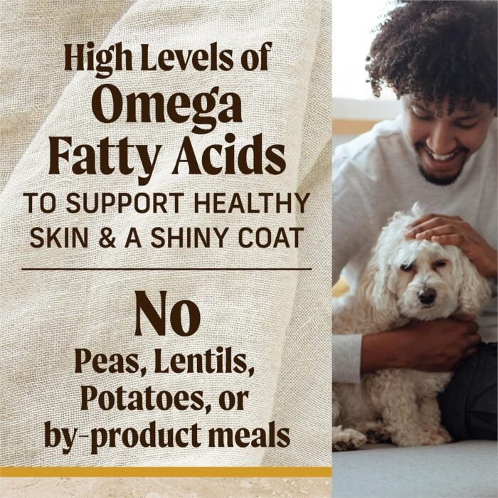 Merrick Healthy Grains Premium Adult Dry Dog Food, Wholesome And Natural Kibble With Chicken And Brown Rice - 4.0 lb. Bag