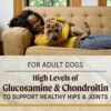 Merrick Healthy Grains Premium Adult Dry Dog Food, Wholesome And Natural Kibble With Chicken And Brown Rice - 4.0 lb. Bag - Image 9