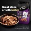 CESAR Adult Wet Dog Food Loaf & Topper in Sauce Rotisserie Chicken Flavor with Bacon & Cheese, 3.5 oz. Easy Peel Trays, Pack of 24 - Image 10
