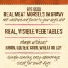 Merrick Lil’ Plates Grain Free Dinner Duos Soft Natural Wet Small Dog Food Variety Pack, Beef and Turkey - (Pack of 1) 2.6 lb. Tubs