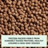 Open Farm, Grain-Free Dry Dog Food for Small Breeds, High-Protein Kibble, Sustainably & Ethically Sourced Ingredients, Non-GMO Veggies & Superfoods, Chicken & Turkey Recipe for Small Dogs, 4lb Bag