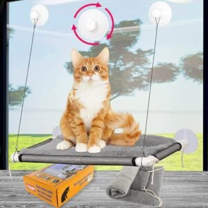 Best Cat Accessories 2025