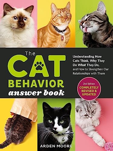 Best Cat Behavior Advice