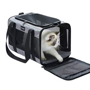 Best Cat Carrier for Travel