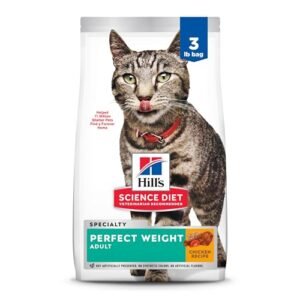 Best Cat Diet for Weight Loss
