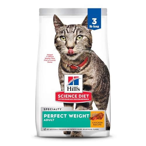 Best Cat Diet for Weight Loss