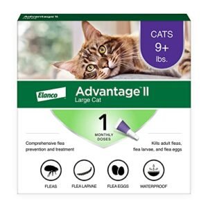 Best Cat Flea Treatment