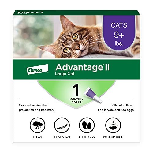 Best Cat Flea Treatment