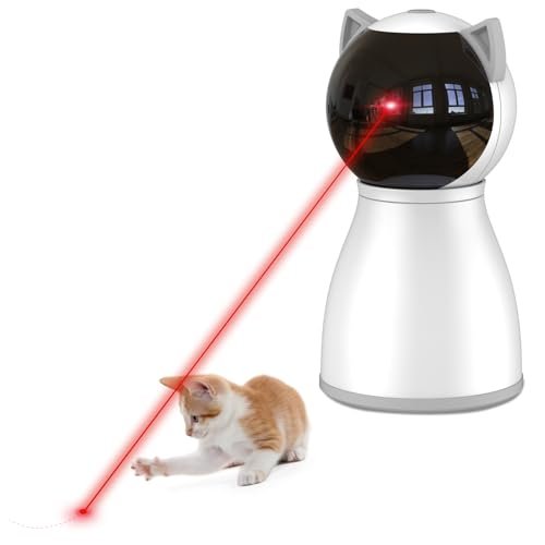Best Cat Gadgets You Didn’T Know You Needed