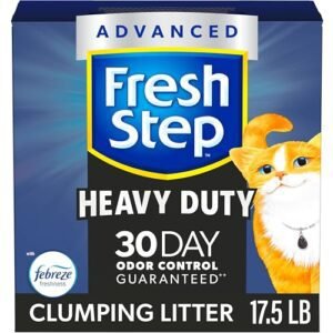 Best Cat Litter for Odor Control