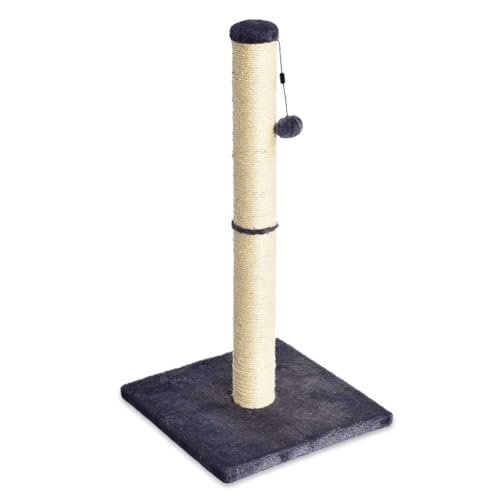 Best Cat Scratching Post