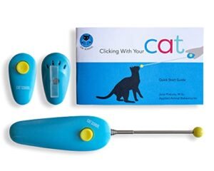Best Cat Training Methods
